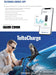 Teltonika TeltoCharge EV Car Charger for HomeTeltonika Charging Dock 22 Kw 3 Phases | Slate Grey - Battery Mate