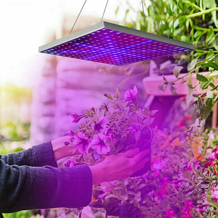 2000W 225 LED Grow Light Hydroponic Kits Growing Lamp Plant Flower Veg Indoor - Battery Mate