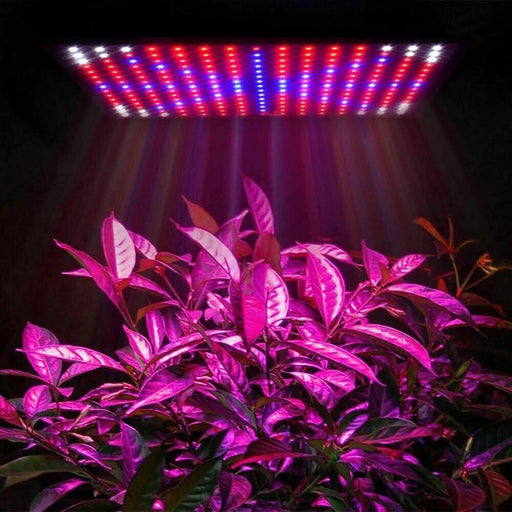 2000W 225 LED Grow Light Hydroponic Kits Growing Lamp Plant Flower Veg Indoor - Battery Mate