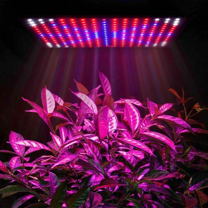 2000W 225 LED Grow Light Hydroponic Kits Growing Lamp Plant Flower Veg Indoor - Battery Mate