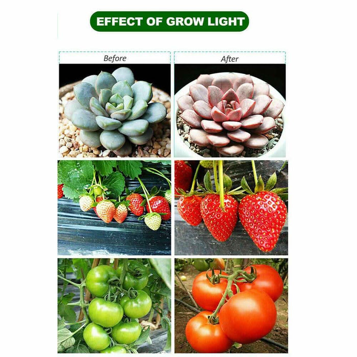 2000W 225 LED Grow Light Hydroponic Kits Growing Lamp Plant Flower Veg Indoor - Battery Mate